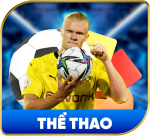 the-thao-300x272